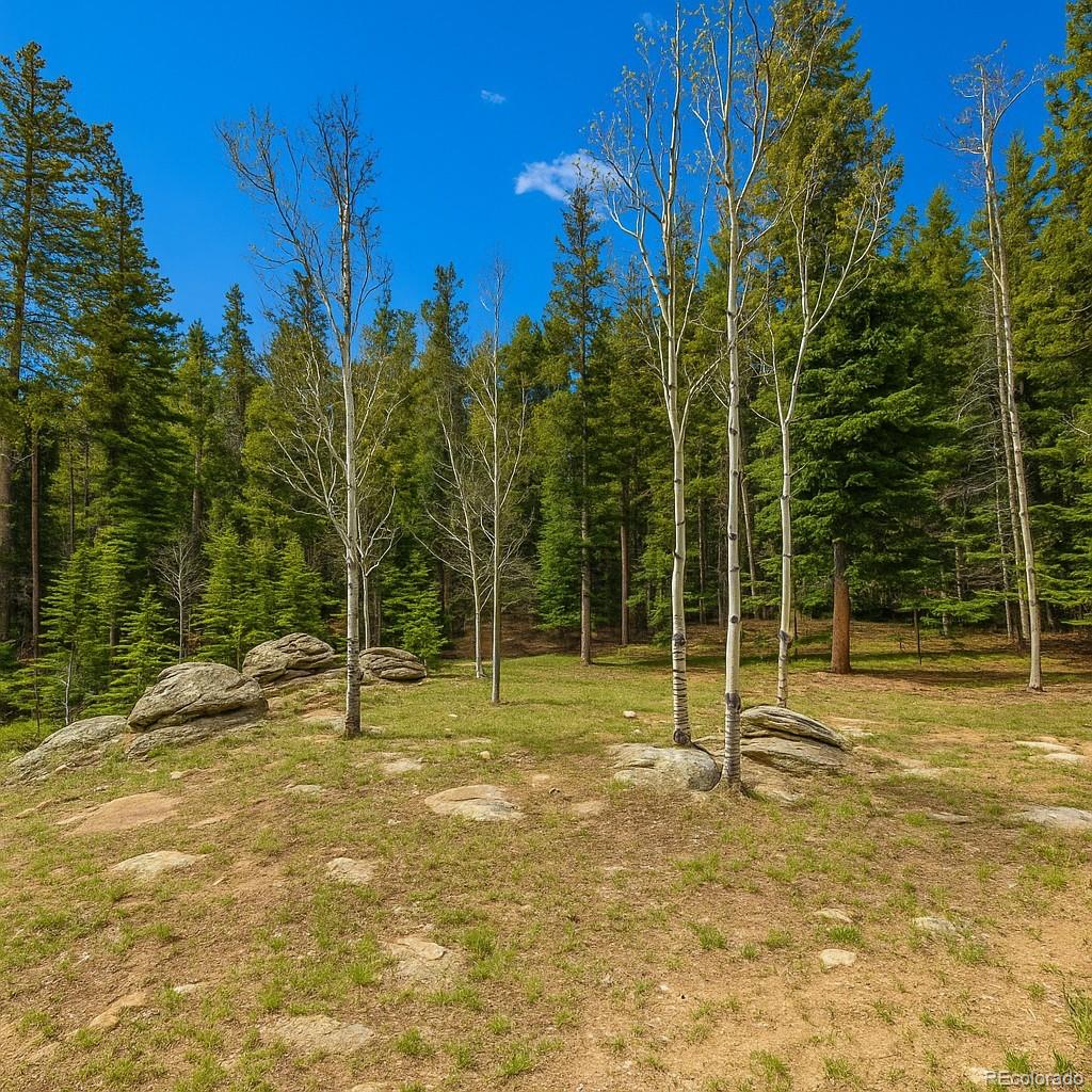 MLS Image #25 for 33606  gap road,golden, Colorado