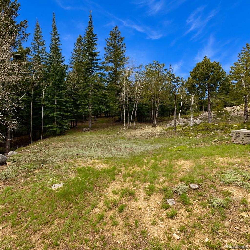 MLS Image #26 for 33606  gap road,golden, Colorado