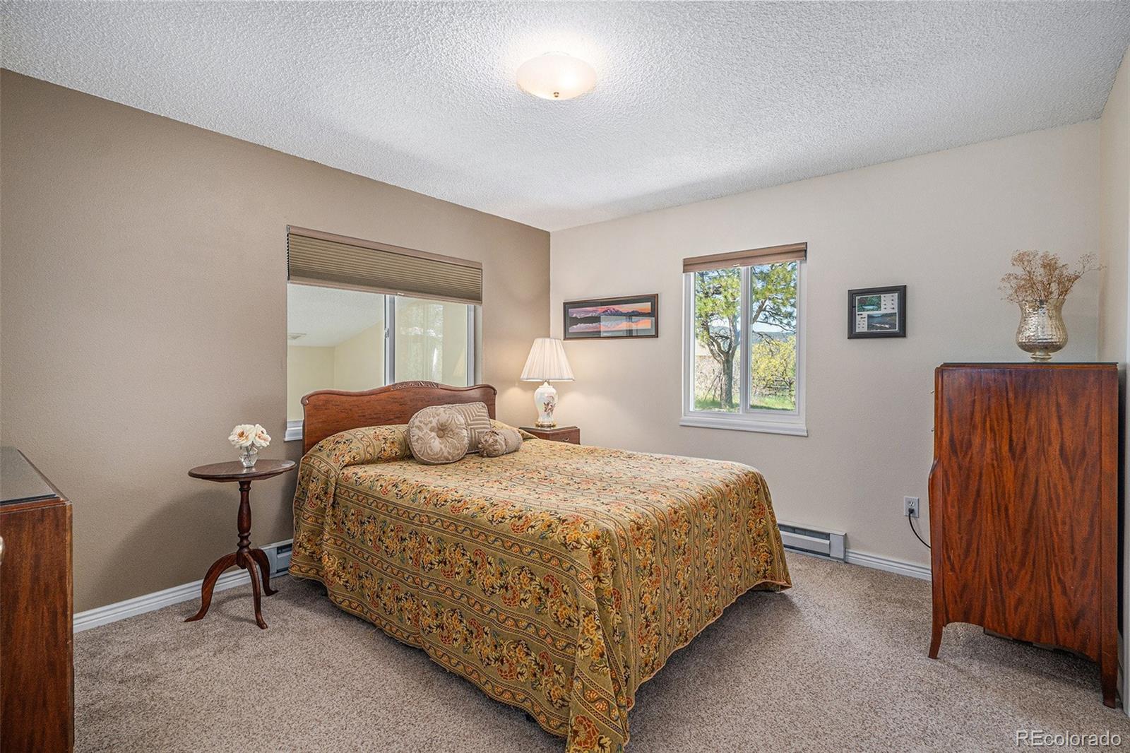 MLS Image #12 for 19260  spring valley road,monument, Colorado