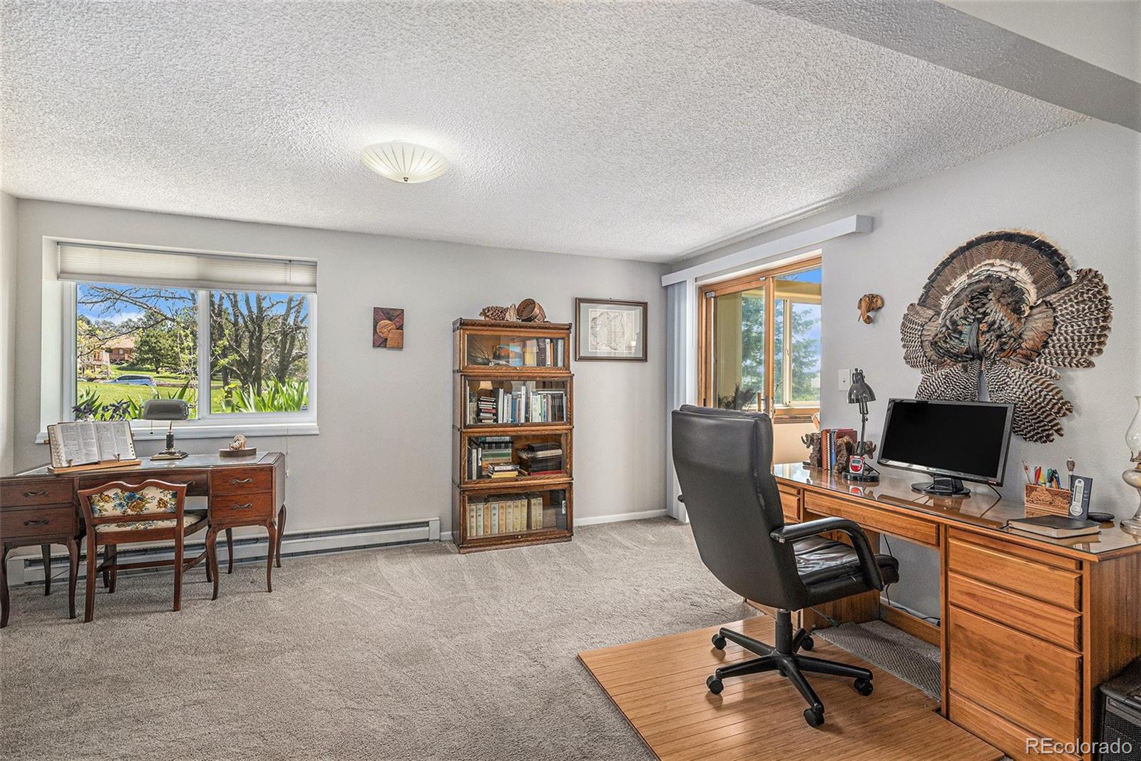 MLS Image #18 for 19260  spring valley road,monument, Colorado