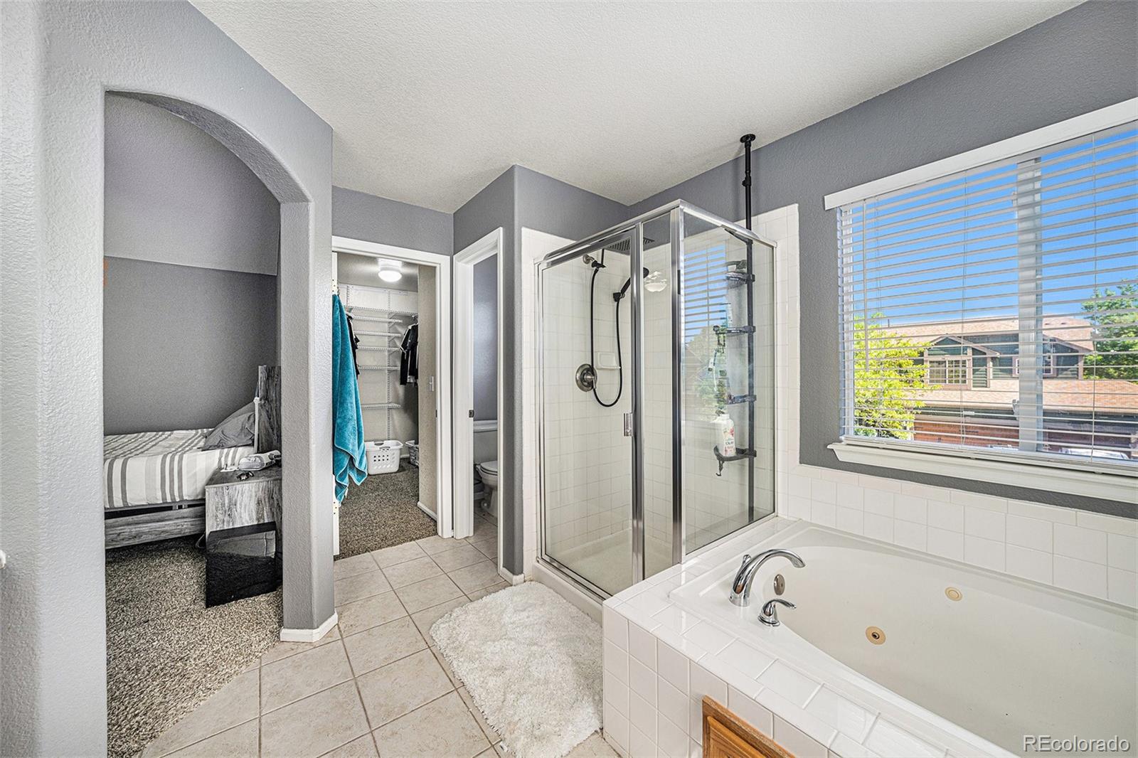 MLS Image #20 for 10289  dresden street,firestone, Colorado