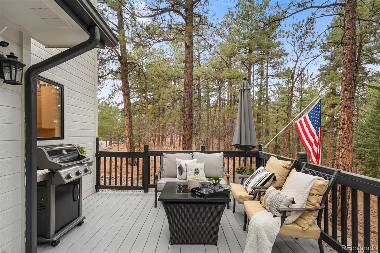 MLS Image #1 for 1935  poncha court,larkspur, Colorado
