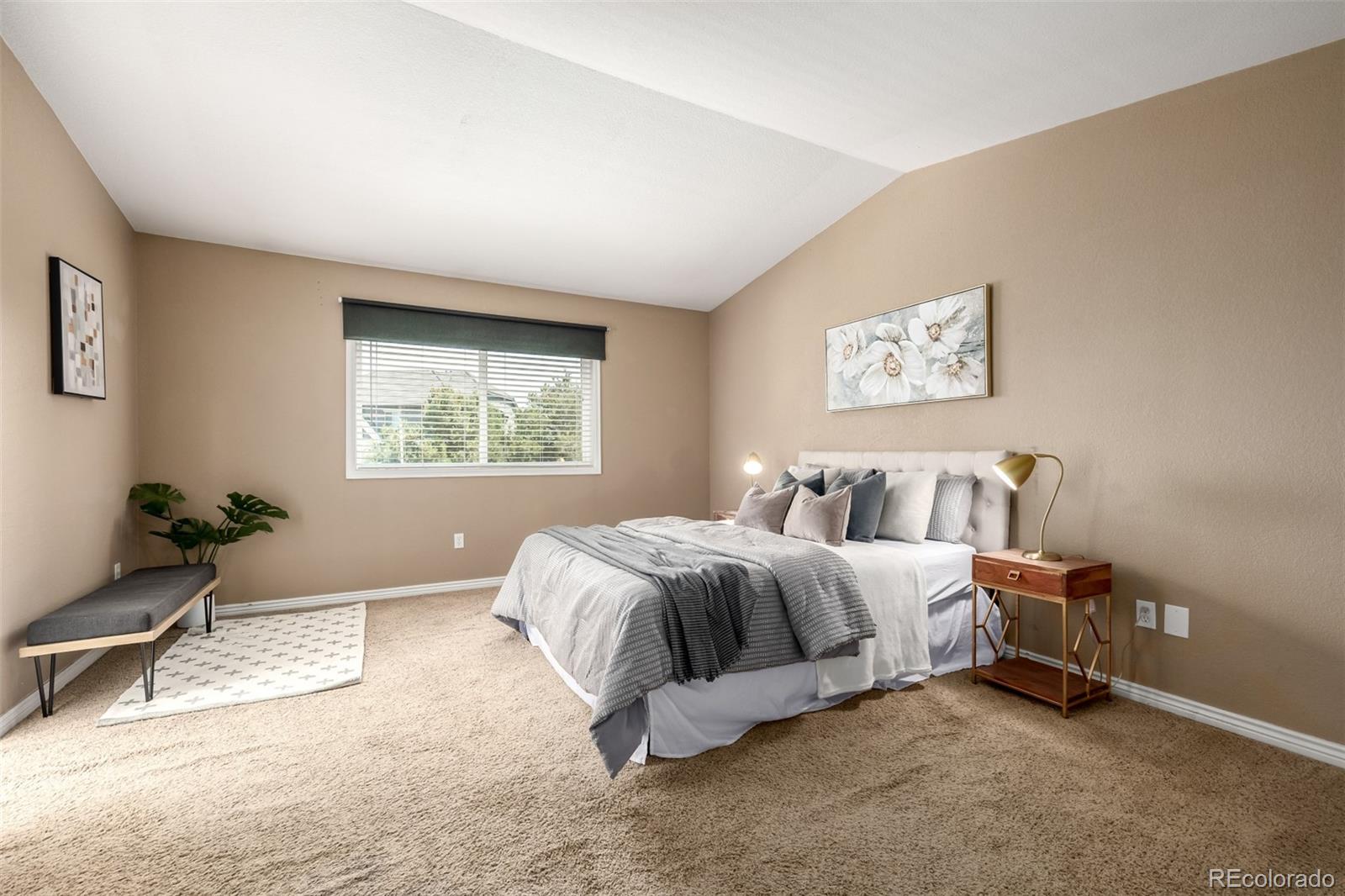 MLS Image #29 for 6062 s newport street,centennial, Colorado