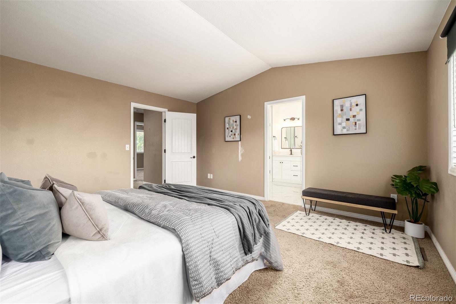 MLS Image #30 for 6062 s newport street,centennial, Colorado