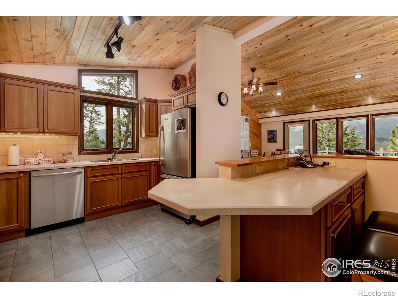 MLS Image #12 for 1561  st moritz trail,estes park, Colorado