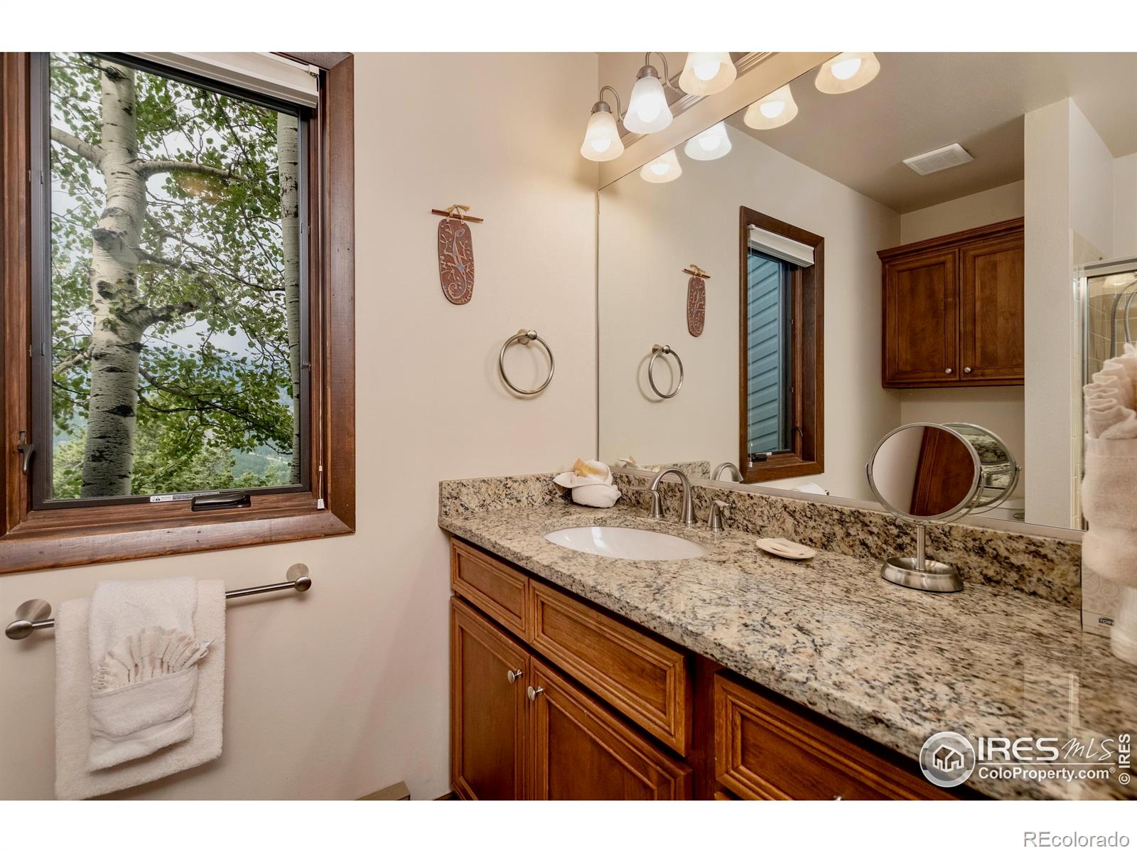 MLS Image #23 for 1561  st moritz trail,estes park, Colorado