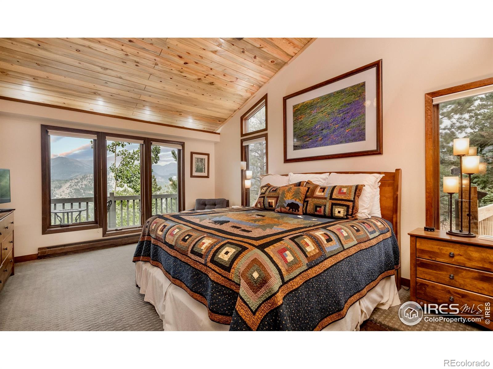 MLS Image #25 for 1561  st moritz trail,estes park, Colorado