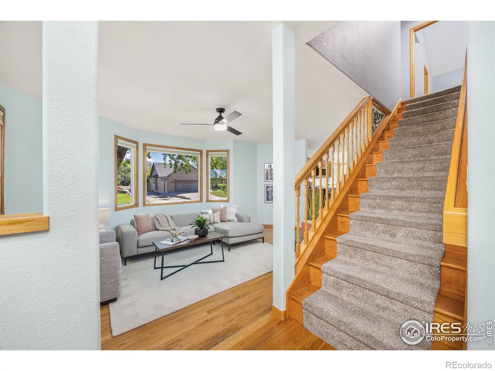 MLS Image #2 for 2437  maplewood circle,longmont, Colorado