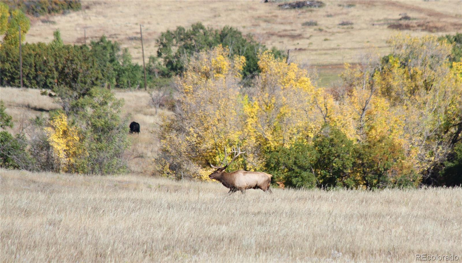MLS Image #17 for 741  big wall lane,la veta, Colorado