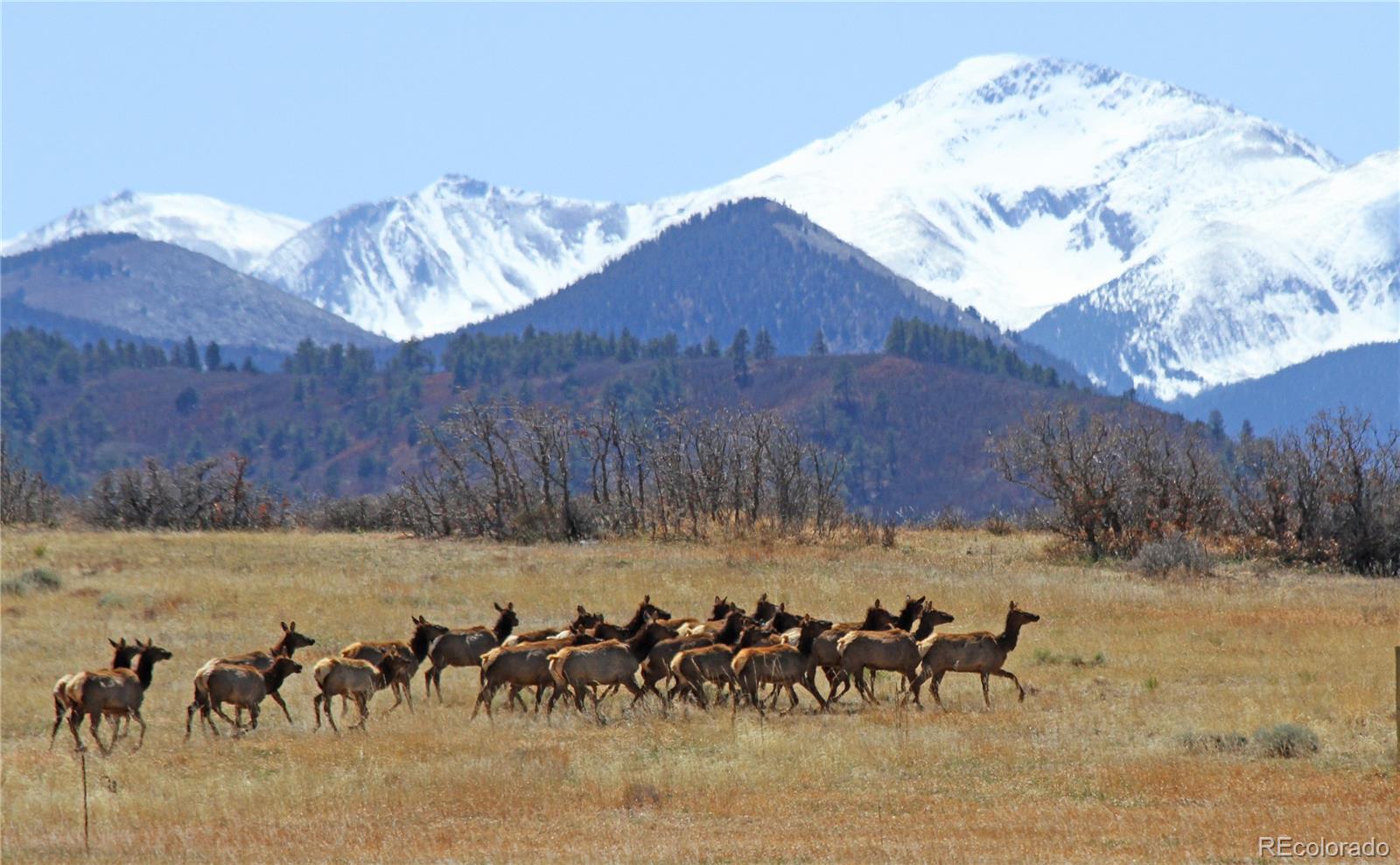 MLS Image #18 for 741  big wall lane,la veta, Colorado
