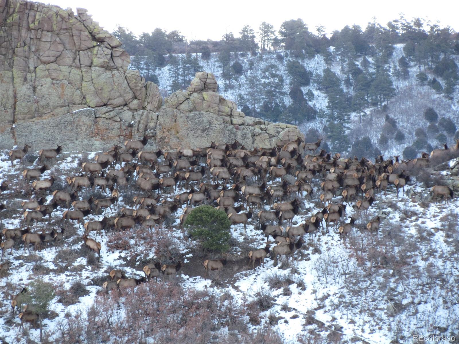MLS Image #20 for 741  big wall lane,la veta, Colorado