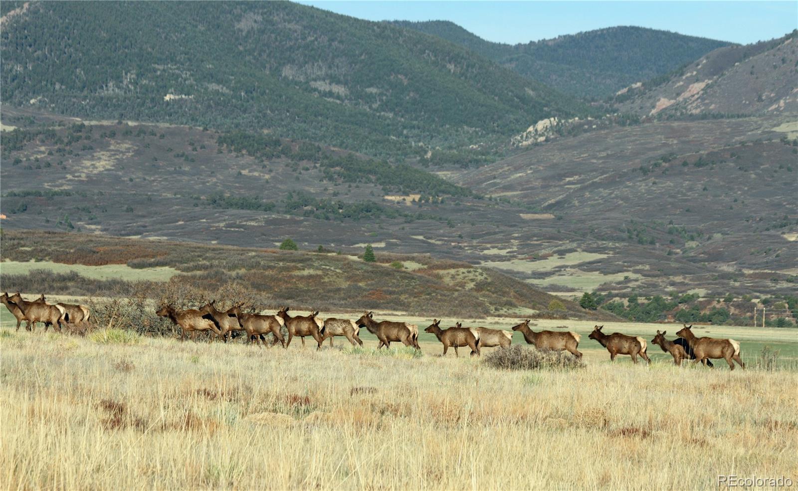 MLS Image #21 for 741  big wall lane,la veta, Colorado