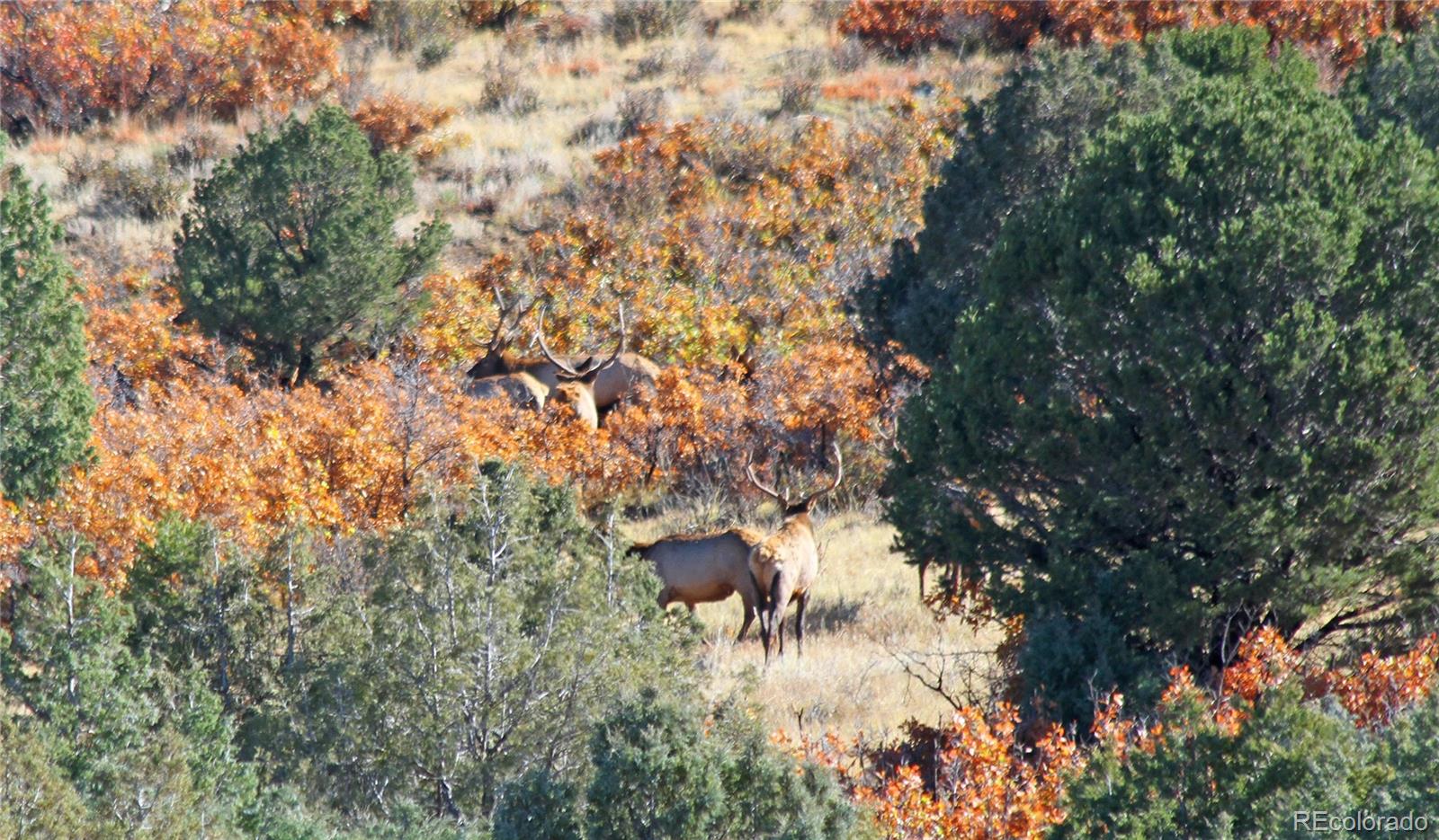MLS Image #23 for 741  big wall lane,la veta, Colorado