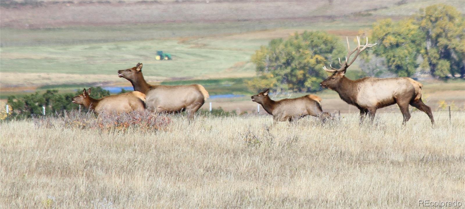 MLS Image #25 for 741  big wall lane,la veta, Colorado