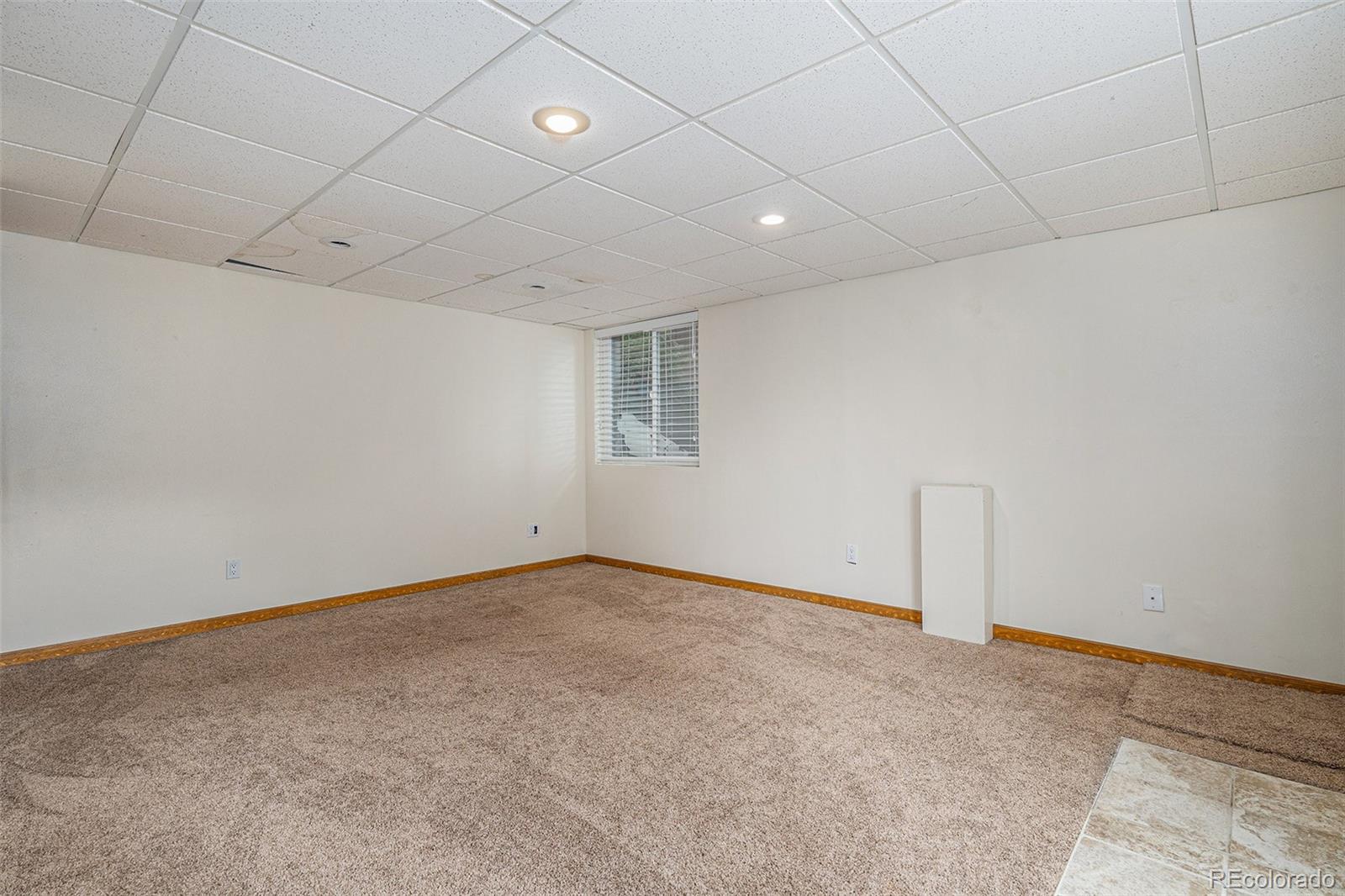 MLS Image #18 for 9546  high cliffe street,highlands ranch, Colorado