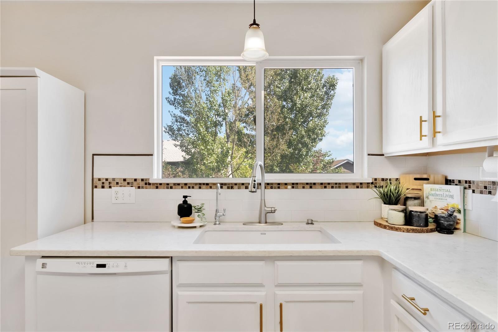 MLS Image #25 for 9546  high cliffe street,highlands ranch, Colorado
