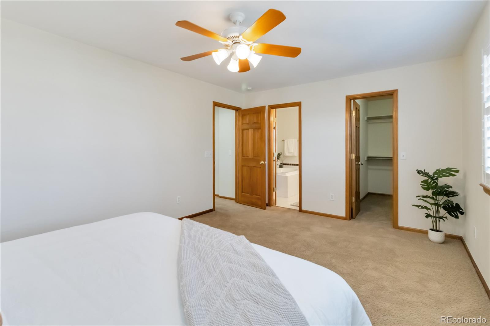 MLS Image #9 for 9546  high cliffe street,highlands ranch, Colorado