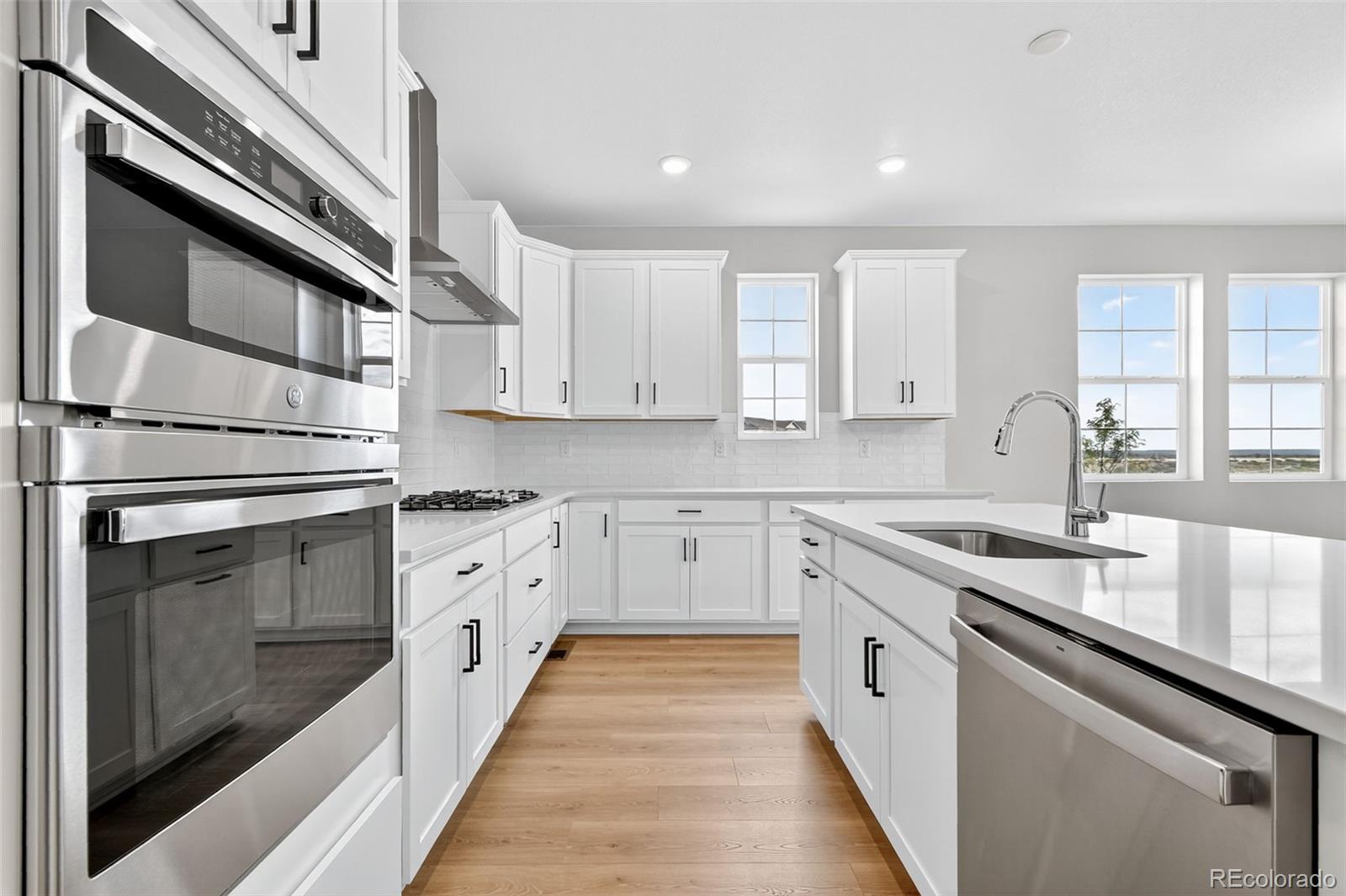 MLS Image #11 for 4334  ridgewalk point,castle rock, Colorado
