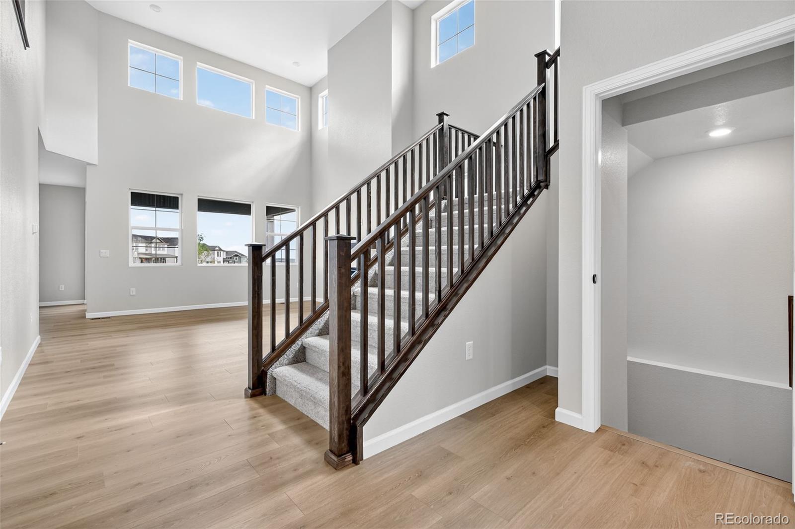 MLS Image #15 for 4334  ridgewalk point,castle rock, Colorado