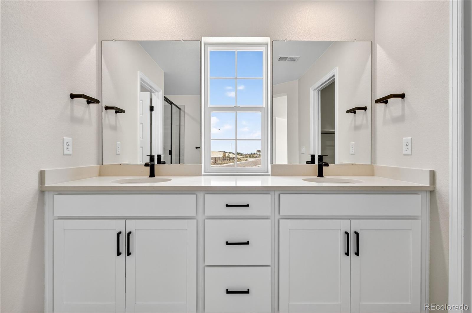 MLS Image #19 for 4334  ridgewalk point,castle rock, Colorado
