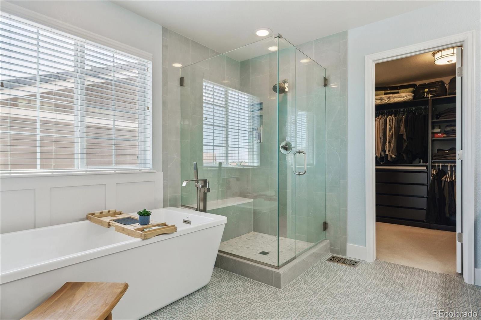 MLS Image #17 for 13822  worthington place,parker, Colorado