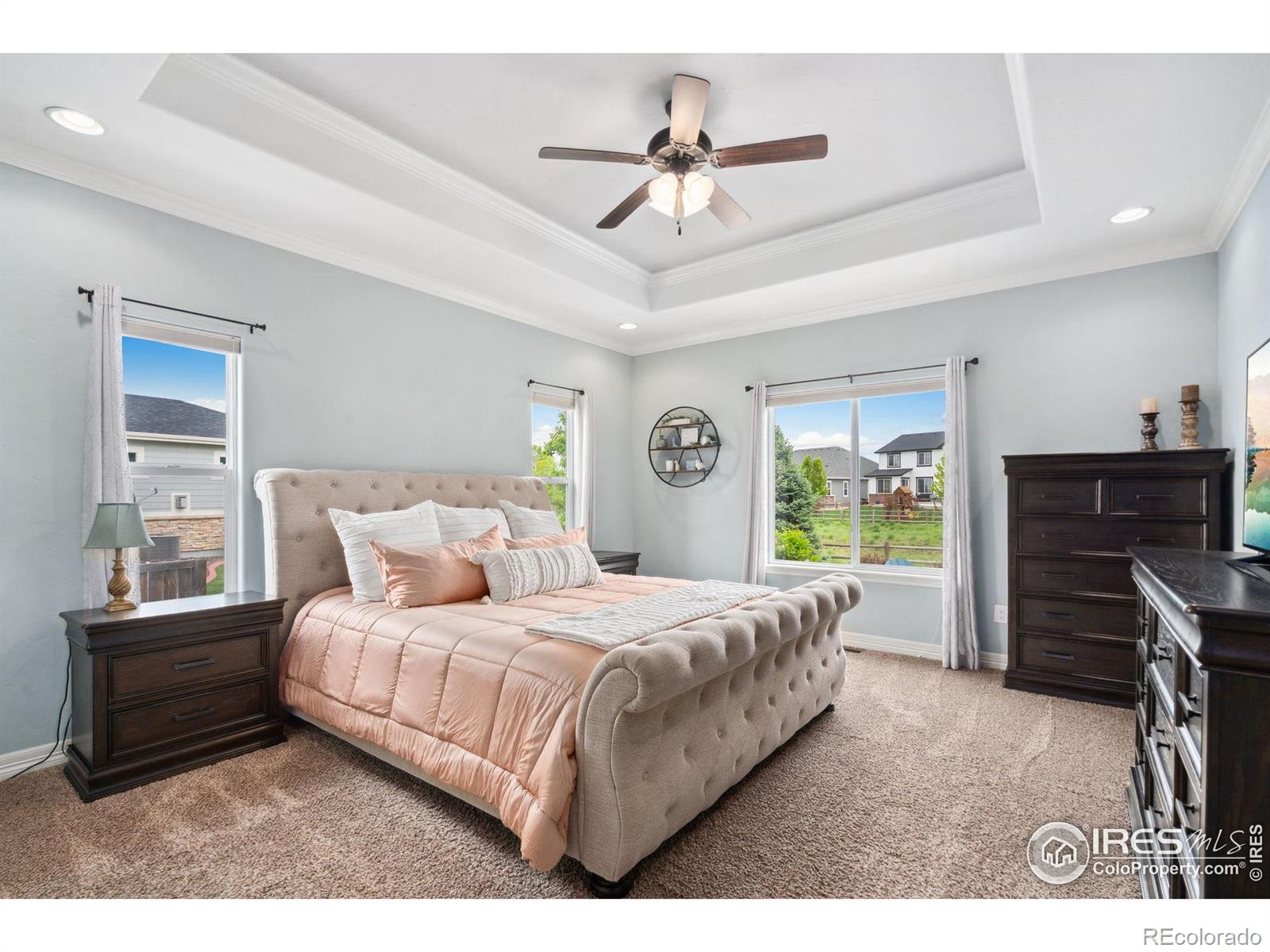 MLS Image #10 for 8149  white owl court,windsor, Colorado
