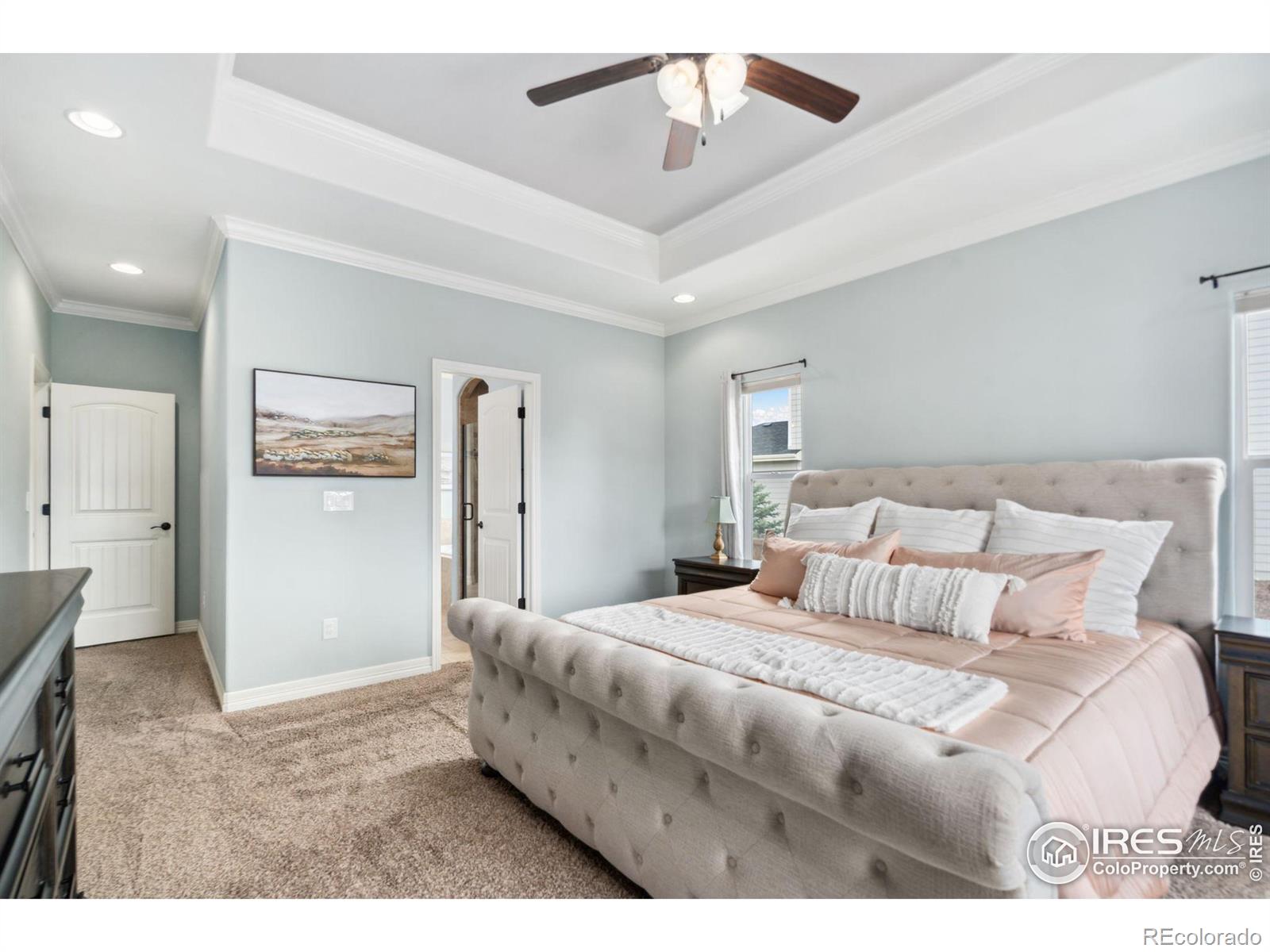 MLS Image #11 for 8149  white owl court,windsor, Colorado