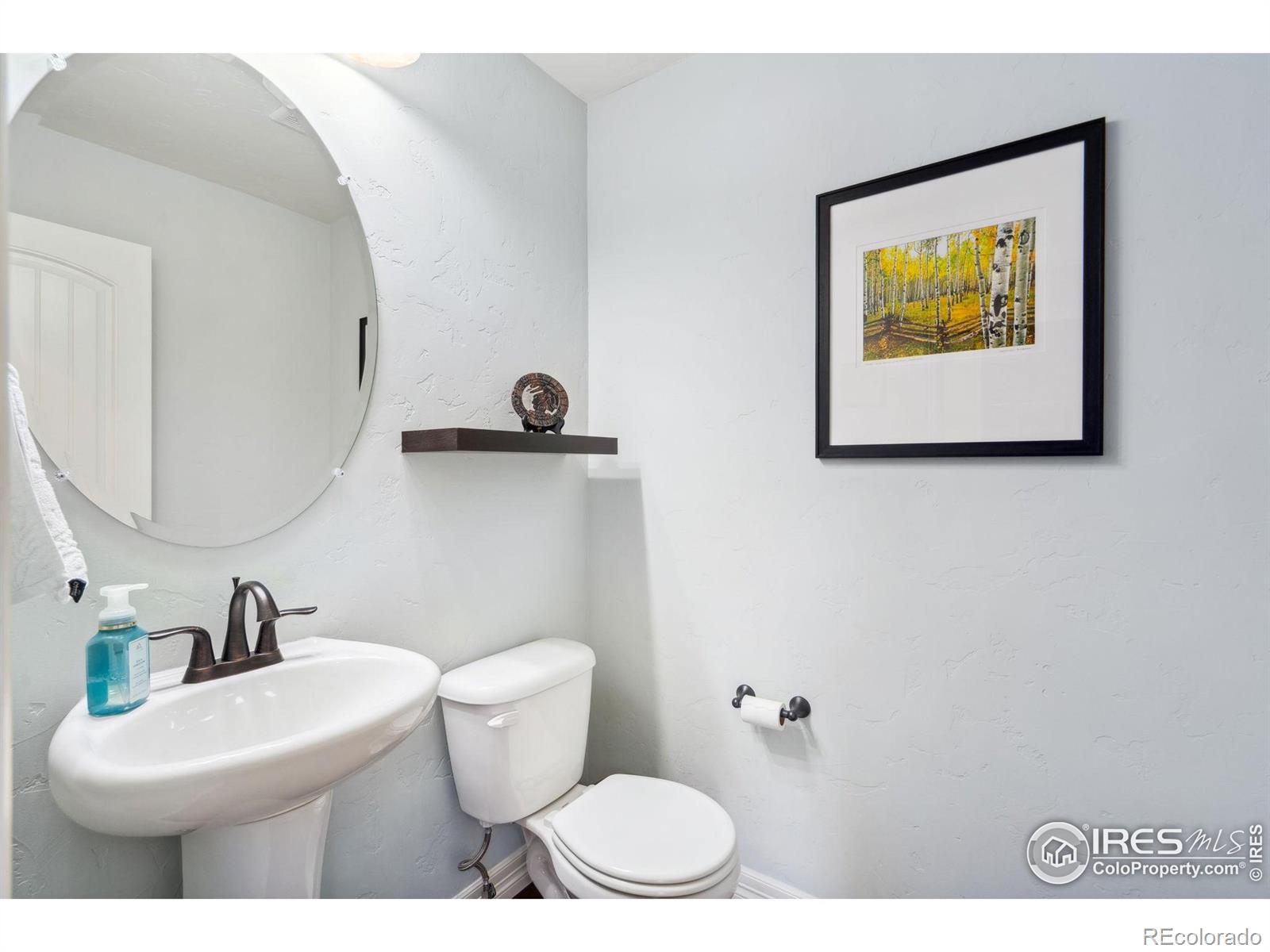 MLS Image #15 for 8149  white owl court,windsor, Colorado