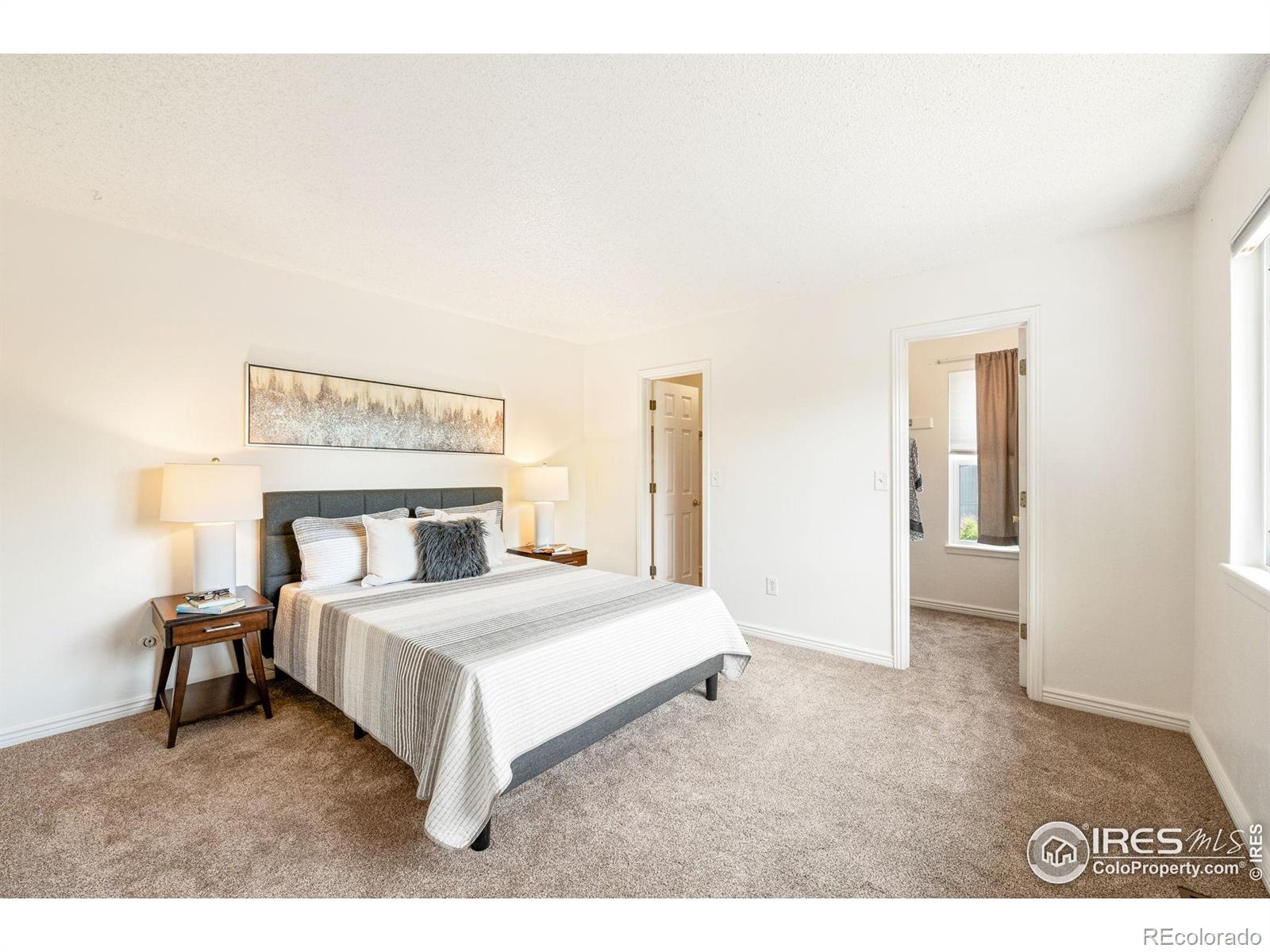 MLS Image #19 for 1215  centaur circle,lafayette, Colorado