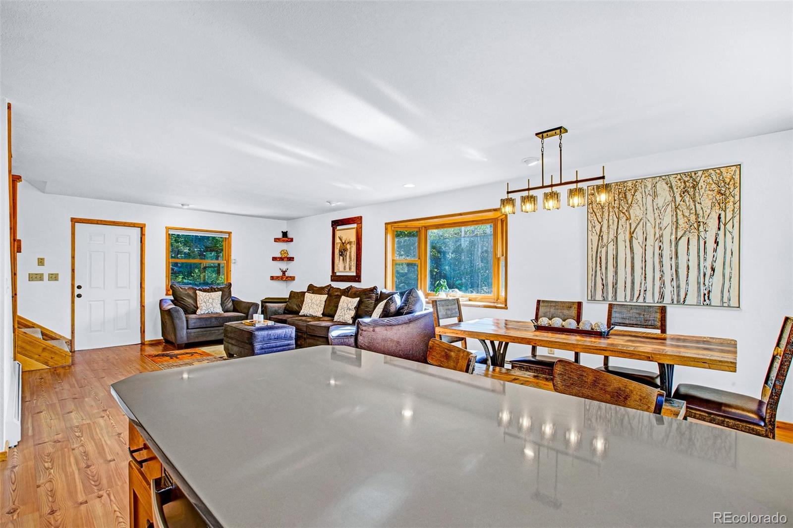 MLS Image #13 for 375  gold trail,fairplay, Colorado