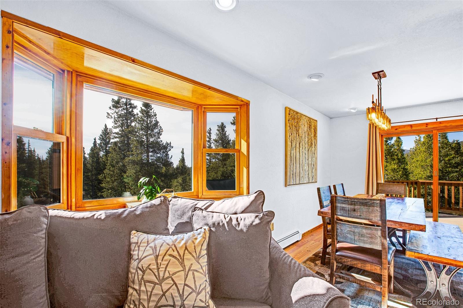 MLS Image #14 for 375  gold trail,fairplay, Colorado
