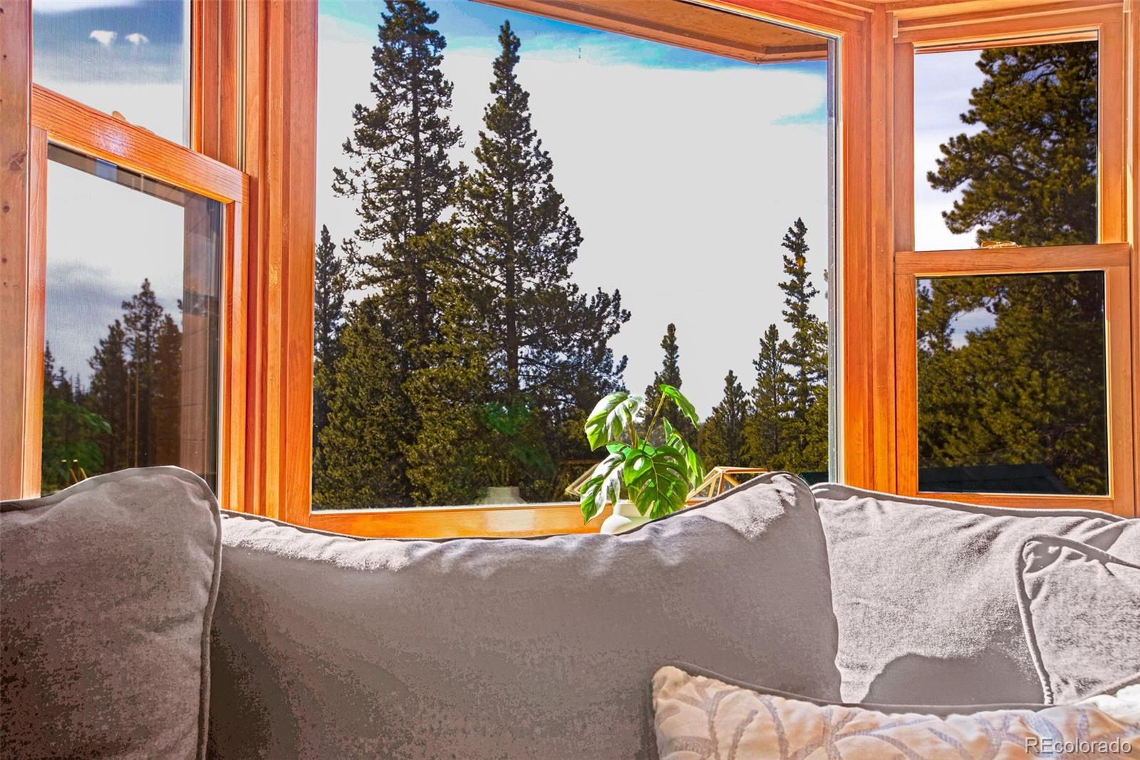 MLS Image #15 for 375  gold trail,fairplay, Colorado