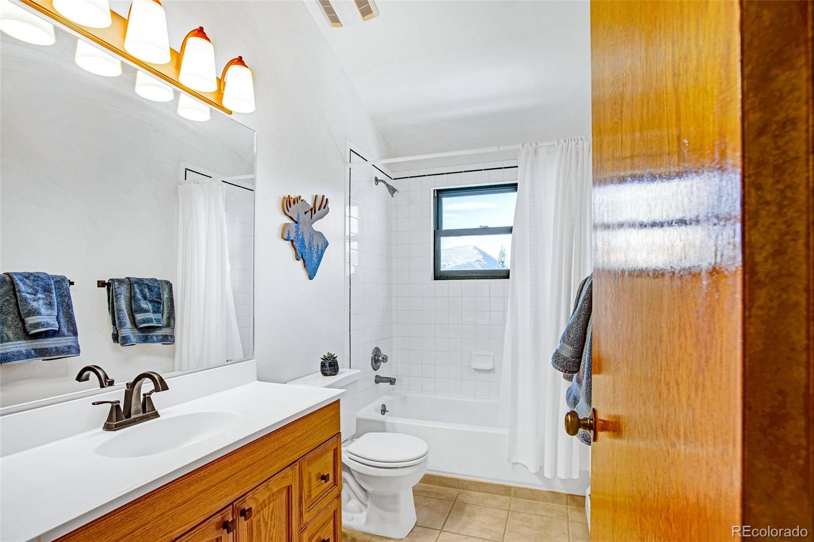 MLS Image #26 for 375  gold trail,fairplay, Colorado