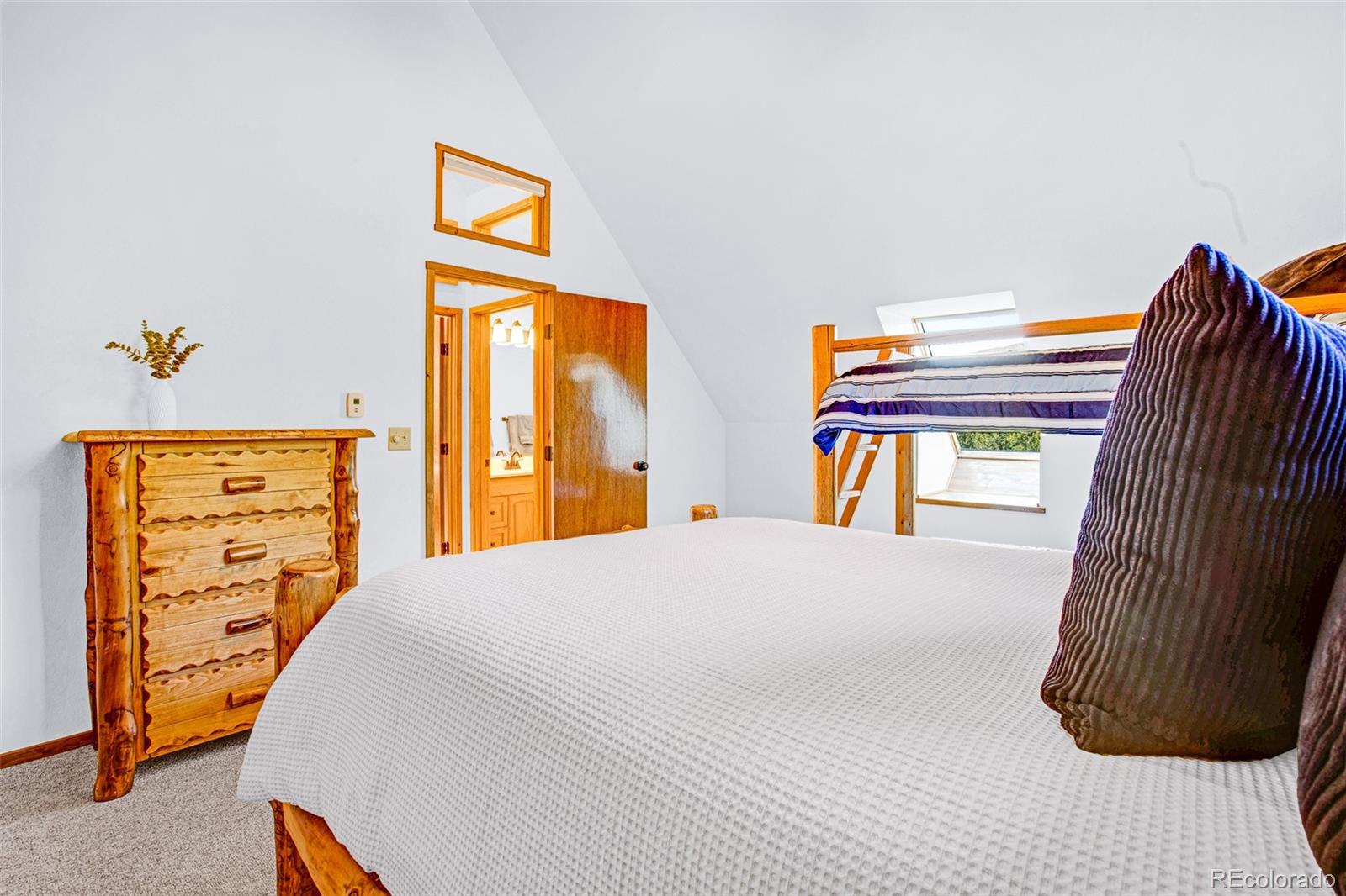 MLS Image #28 for 375  gold trail,fairplay, Colorado