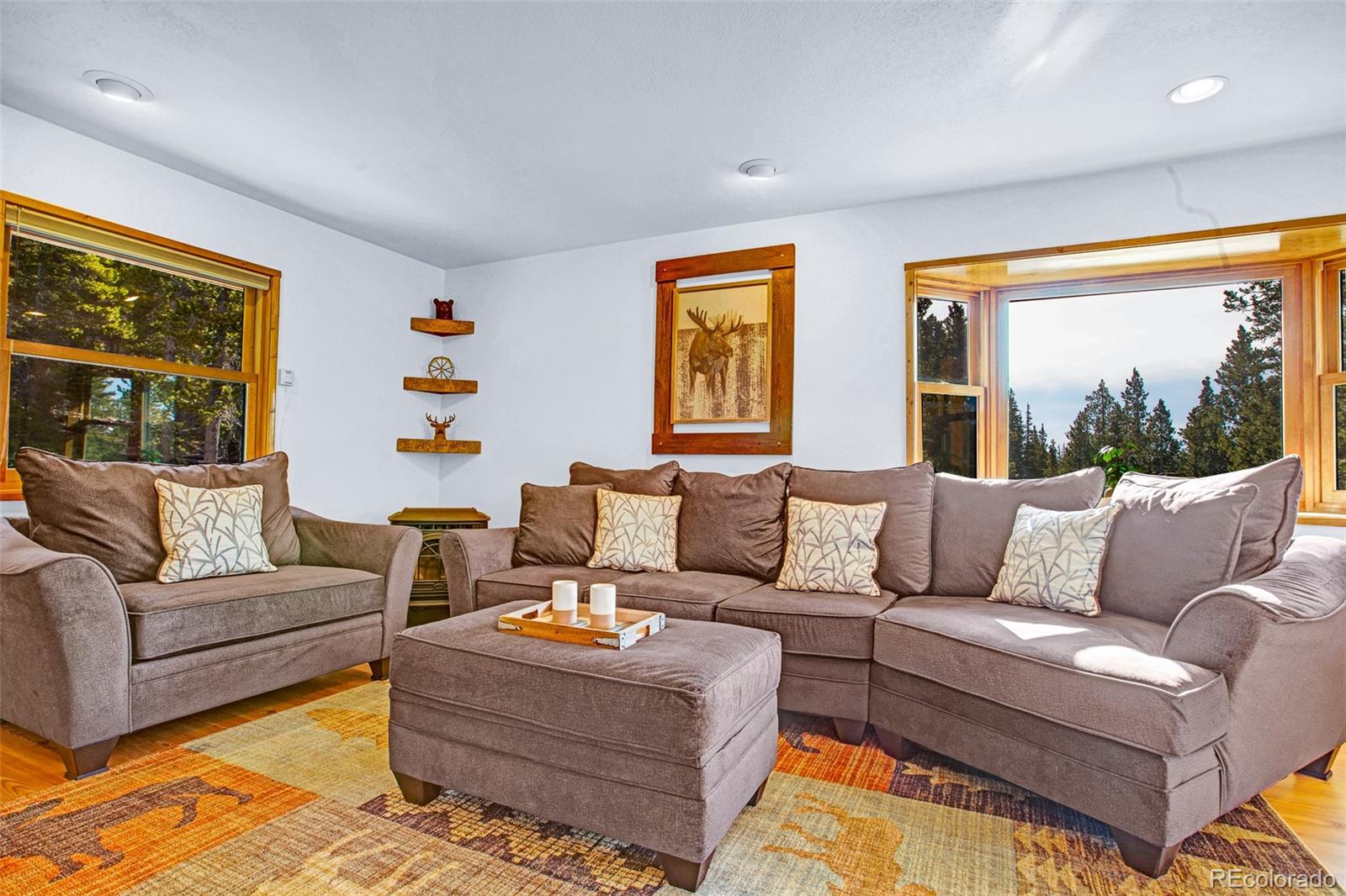 MLS Image #3 for 375  gold trail,fairplay, Colorado