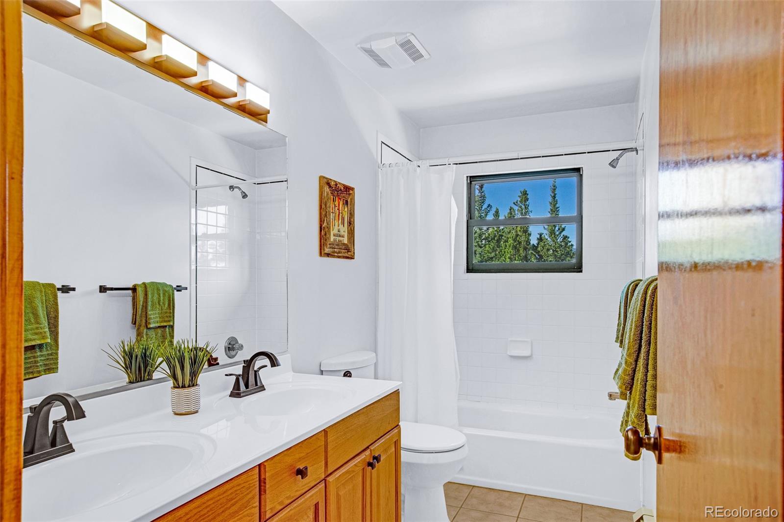 MLS Image #39 for 375  gold trail,fairplay, Colorado