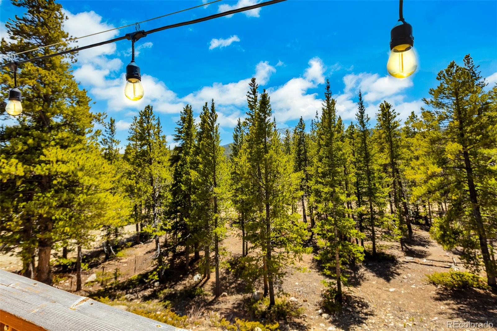 MLS Image #49 for 375  gold trail,fairplay, Colorado