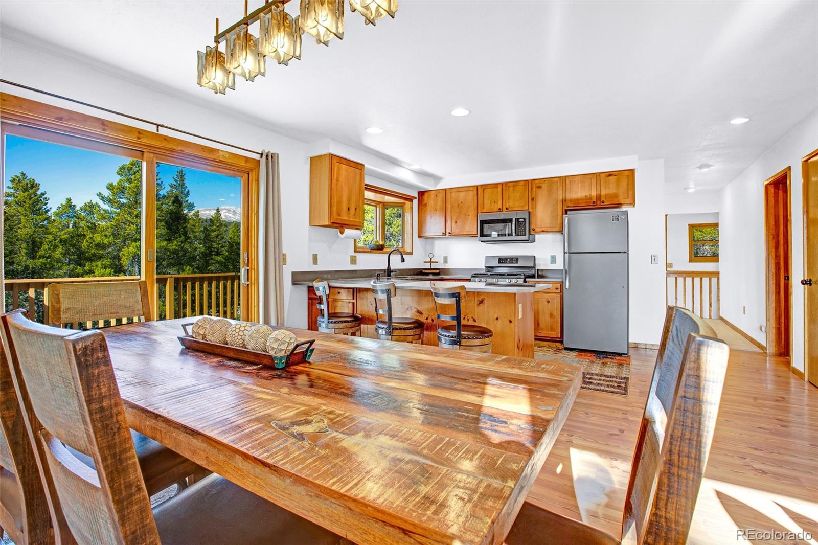 MLS Image #5 for 375  gold trail,fairplay, Colorado