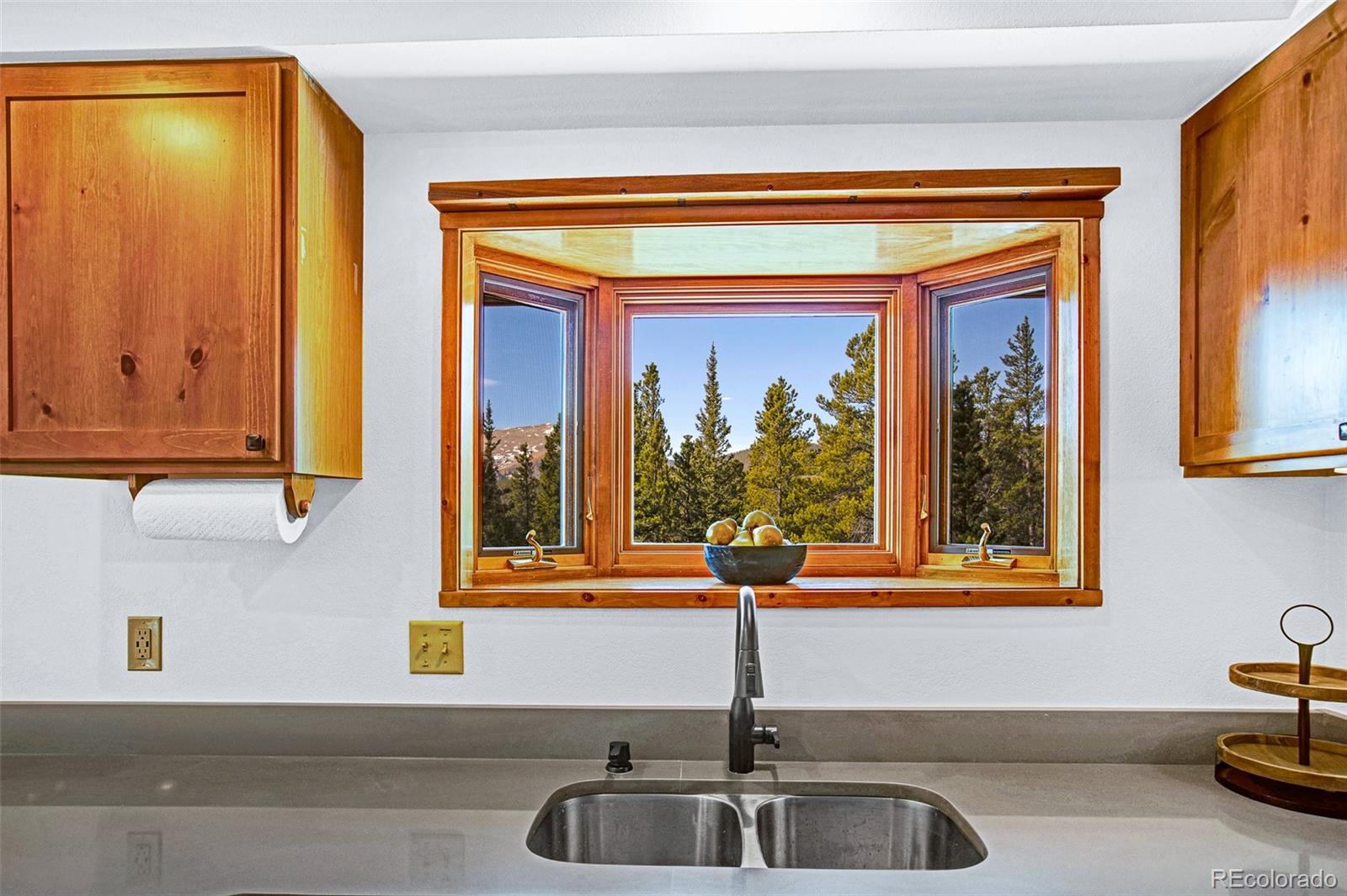MLS Image #9 for 375  gold trail,fairplay, Colorado