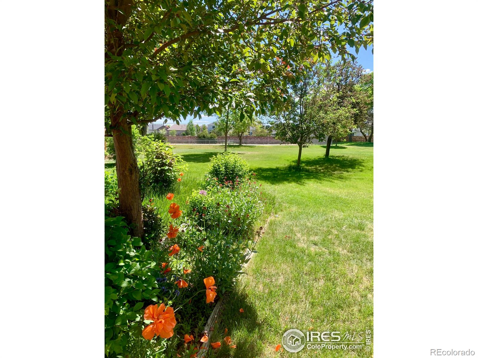 MLS Image #10 for 2800  virginia drive,loveland, Colorado