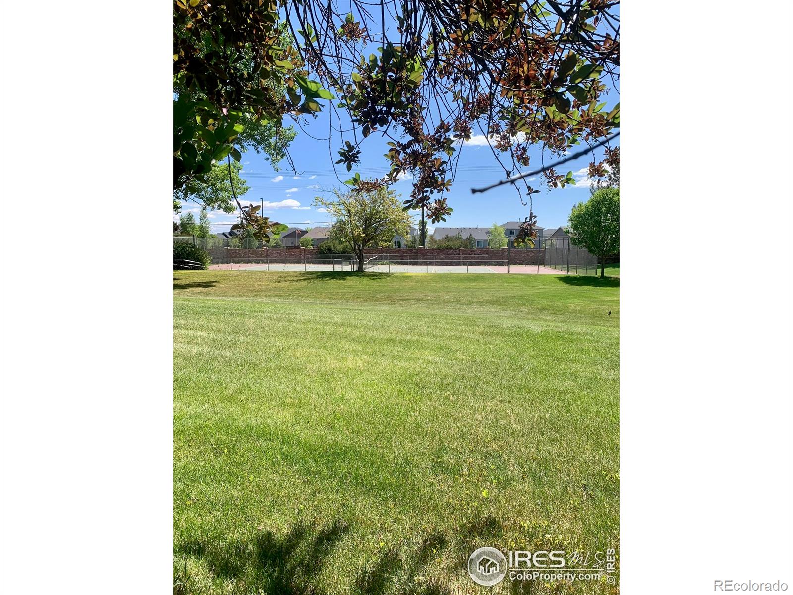 MLS Image #11 for 2800  virginia drive,loveland, Colorado