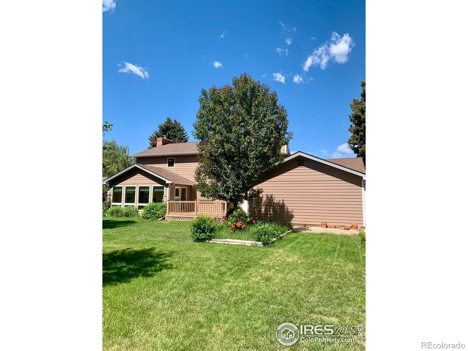 MLS Image #9 for 2800  virginia drive,loveland, Colorado