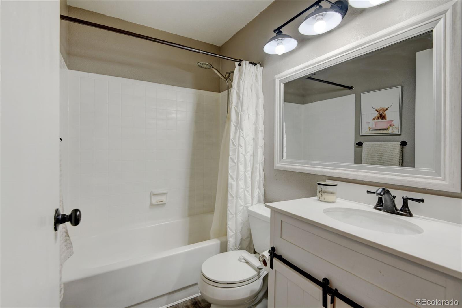 MLS Image #17 for 8680  apache plume drive,parker, Colorado