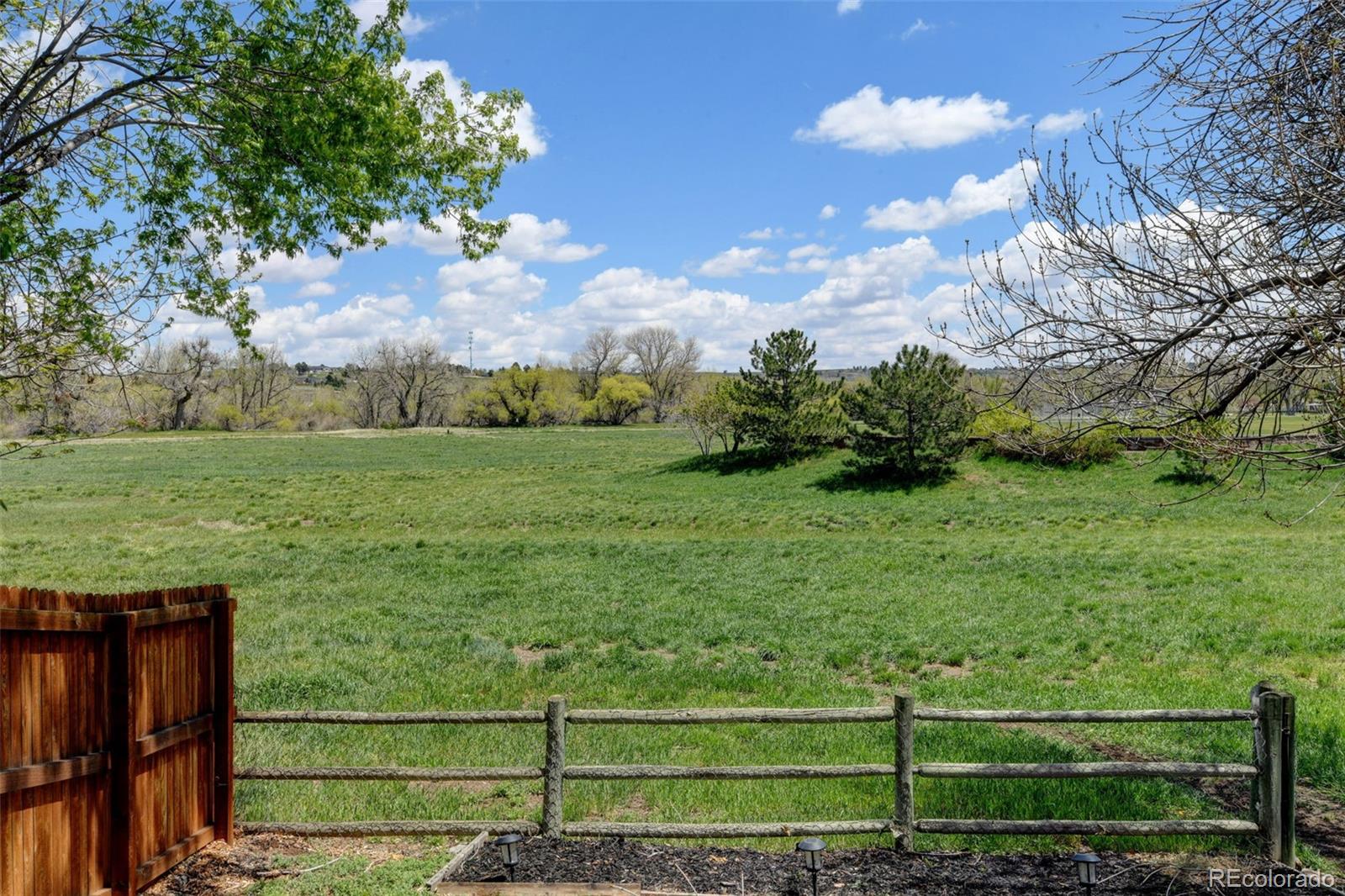 MLS Image #22 for 8680  apache plume drive,parker, Colorado