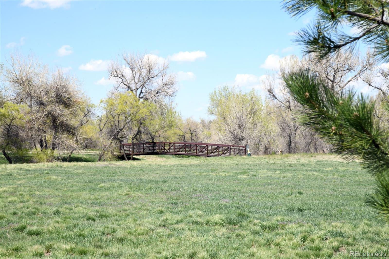MLS Image #30 for 8680  apache plume drive,parker, Colorado