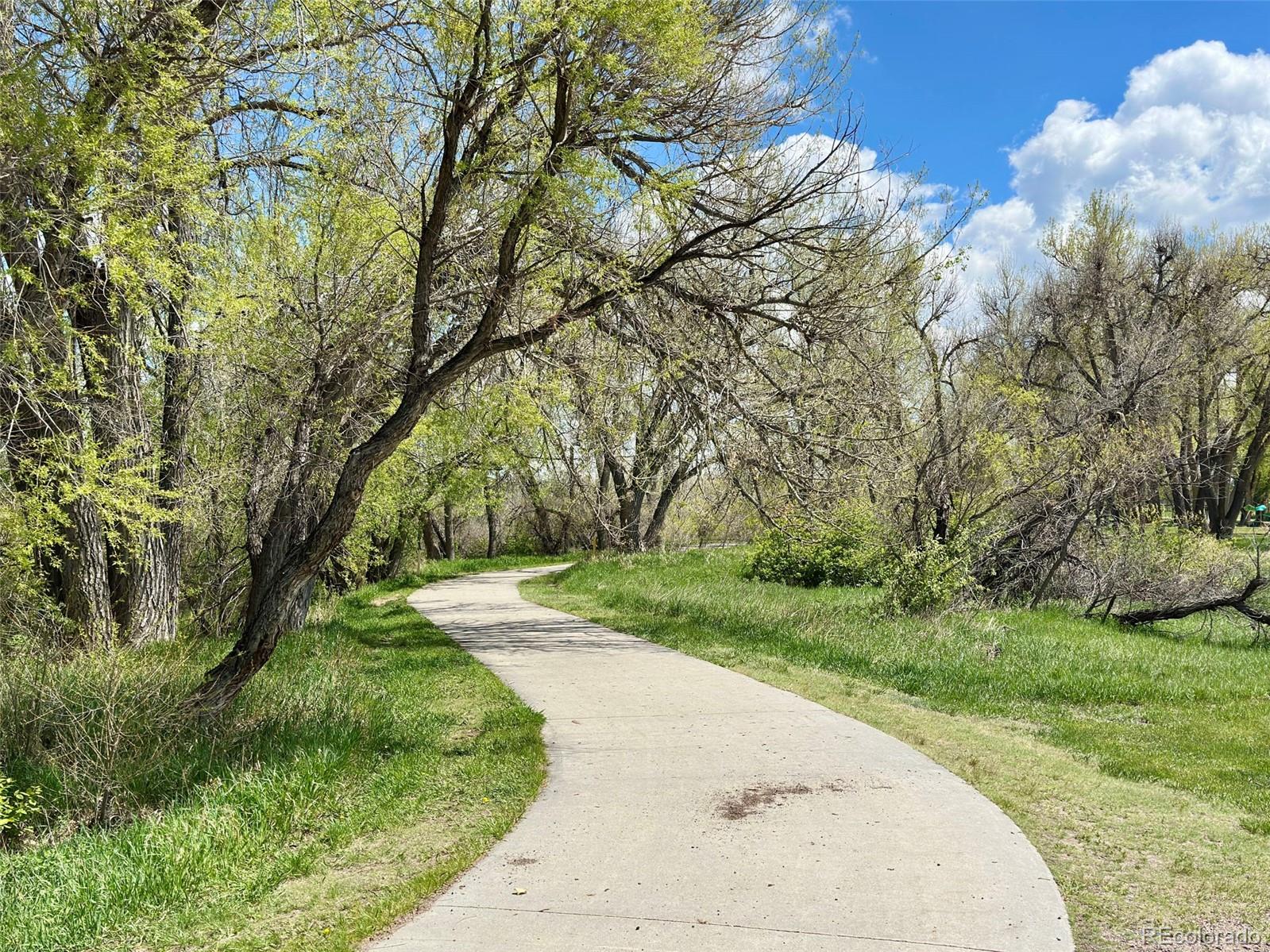 MLS Image #36 for 8680  apache plume drive,parker, Colorado