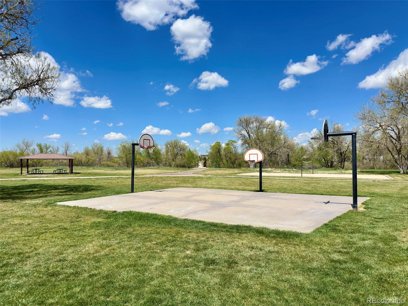 MLS Image #40 for 8680  apache plume drive,parker, Colorado