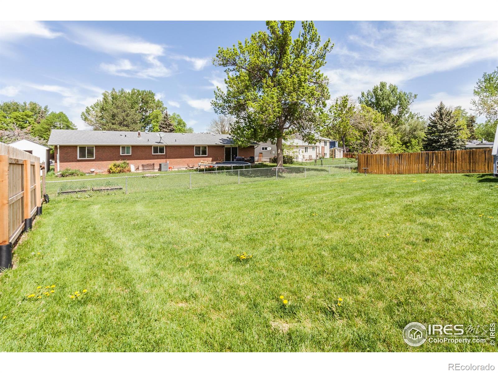 MLS Image #28 for 618  morsman drive,fort collins, Colorado