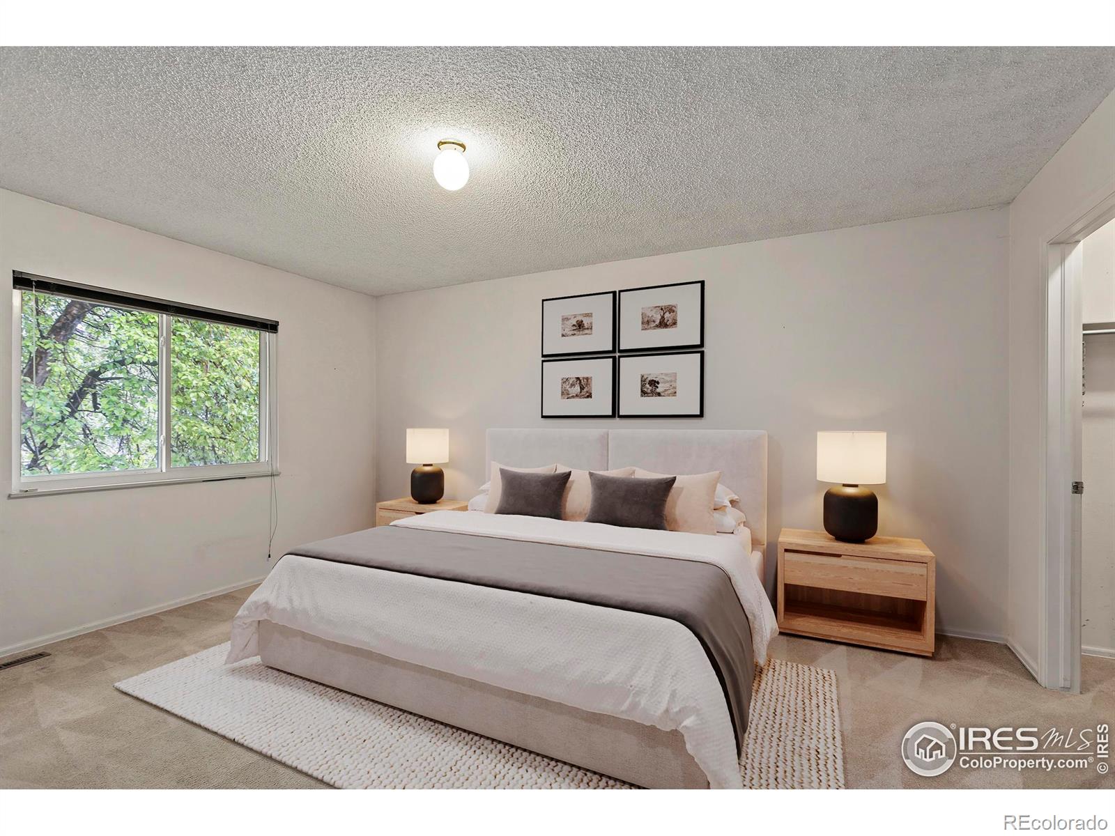MLS Image #12 for 418  guillemont street,fort collins, Colorado