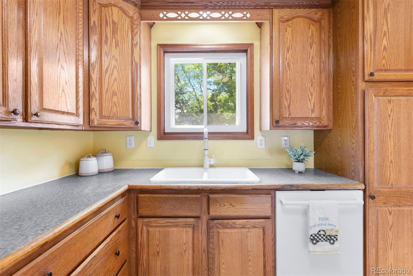 MLS Image #9 for 11530  elm court,thornton, Colorado
